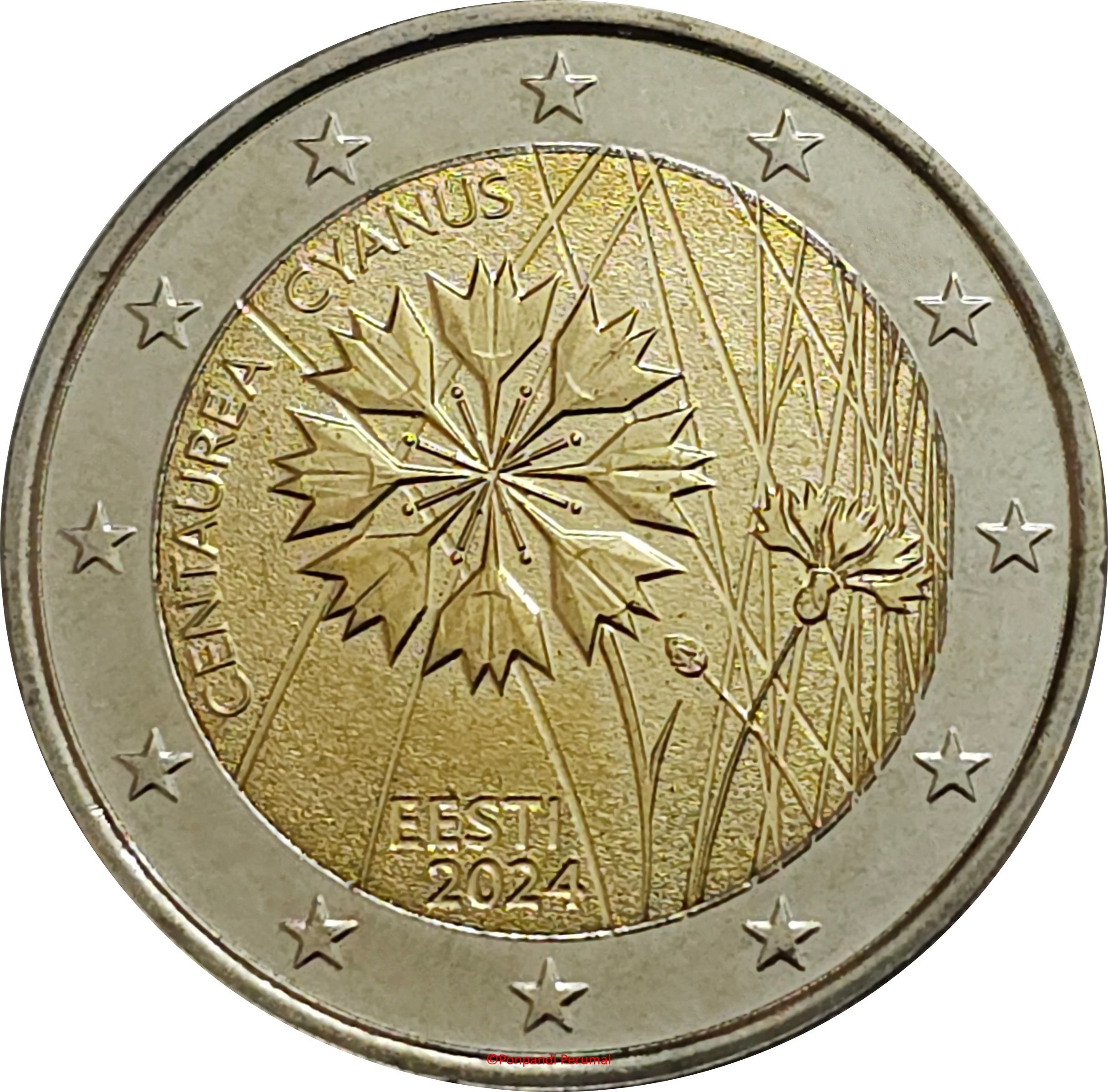 Estonia 2 euro 2024 — The Estonian national flower, the Cornflower